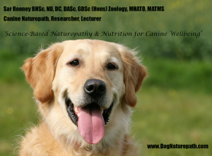 Dog Naturopath signature meme