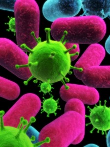 Bacteria and virus
