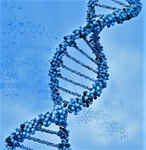 illustration of a dna